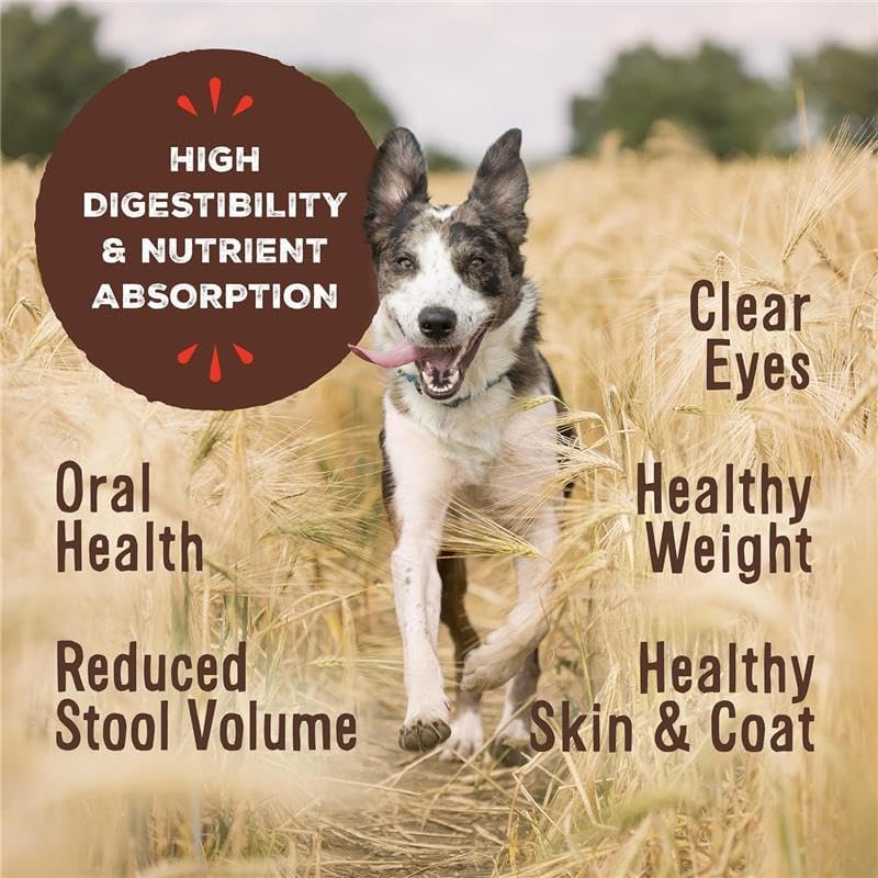 Primal Freeze Dried Raw Dog Food Nuggets, Beef, Complete & Balanced Meal, Also Use as Topper or Treat, Premium, Healthy, Grain Free, High Protein Raw Dog Food, 5.5 oz