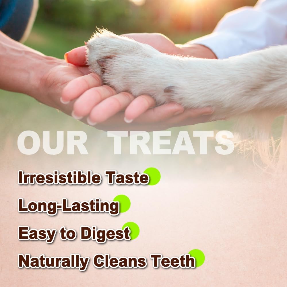 AFreschi Turkey Tendons for Dogs, USA-Sourced, Healthy Dog Treats, Rawhide-Free Puppy Chews, Long Lasting, All Natural, Hypoallergenic Dog Treats for Large Breeds, 10 Count Box Ring (L)