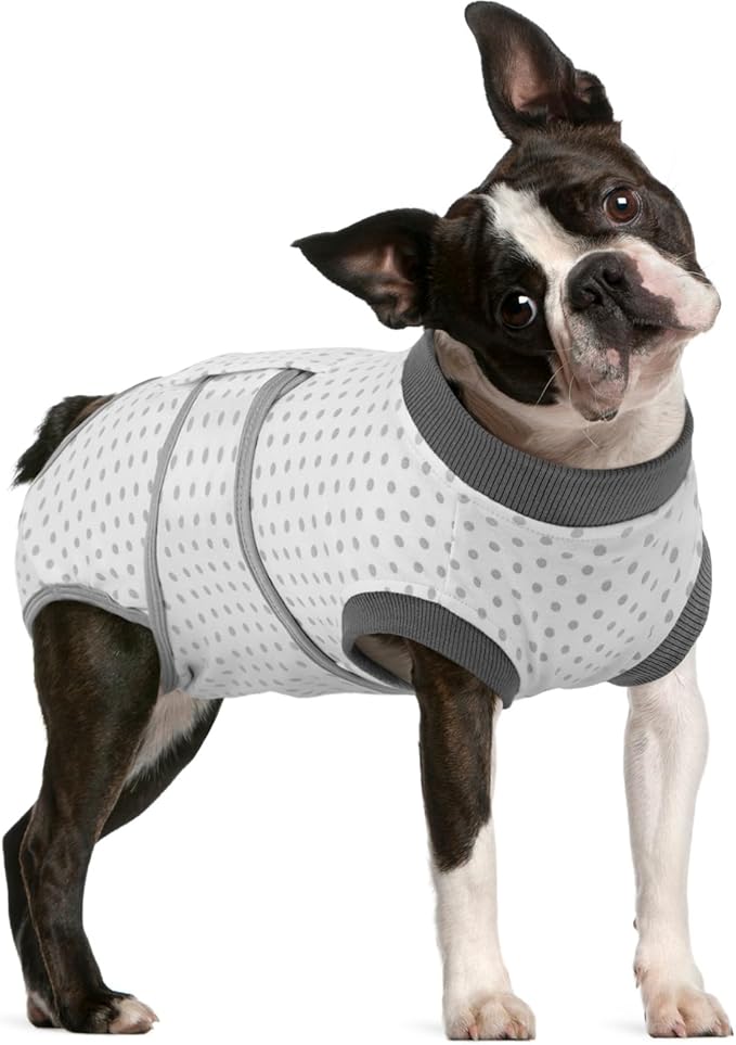 FUAMEY Dog Recovery Suit Male,Dogs Surgery Neuter Suits Puppy Spay Shirts for Female Protect Dog's Skin Anti Licking Abdominal Wounds Doggie Onesie Pet Bodysuit Alternative to Cone Polka Dot M