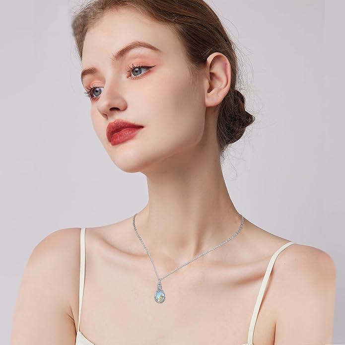 JUSTKIDSTOY Dog/Cat/Hummingbird Urn Necklace for Ashes S925 Sterling Silver Heart Cremation Jewelry Keepsake Memorial for Women