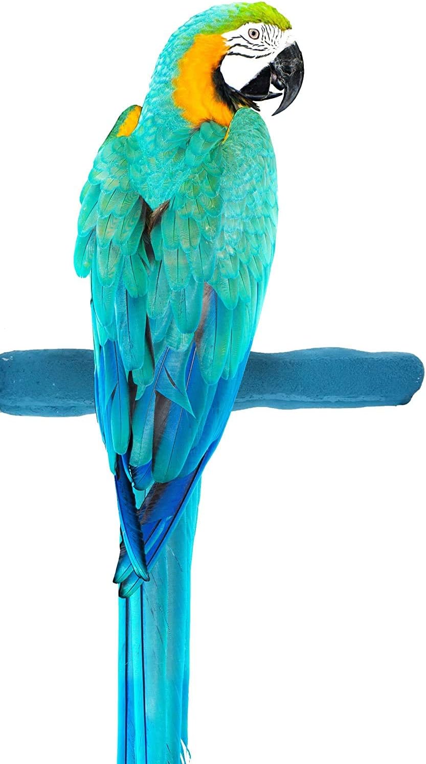 Comfort Grip Safety Perch for Bird Cages - Pedicure Perch for Birds to Keep Nails and Beaks in Top Condition - Safe Easy to Install Bird Cage Accessories - L 13"