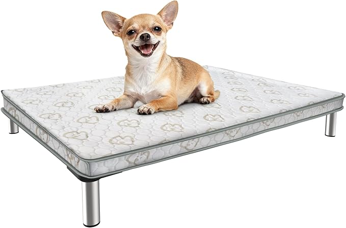 FXW TitanNest Chew-Proof Elevated Dog Bed, Raised Cot for Indoor/Outdoor/Camping Use, Durable & Washable Padded Pet Bed with Exclusive Cover for Toy Dogs, 23.0" L x 17.0" W x 4.5" H, Gray