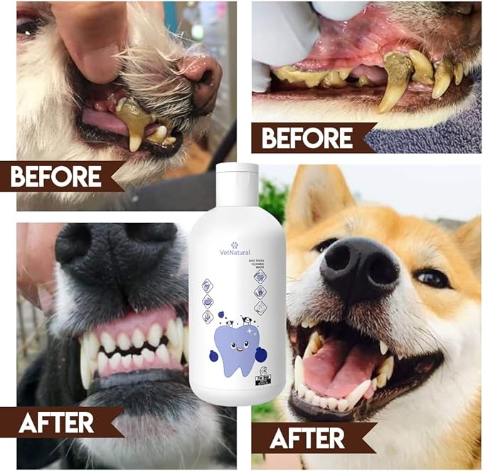 PawBright Dental Plus, Dog Dental Plus Water Natural, Odorless & Flavorless Formula to Fight Tartar Promote Healthy Gums, Easy Daily Use for All Pet 1pcs 8.45oz