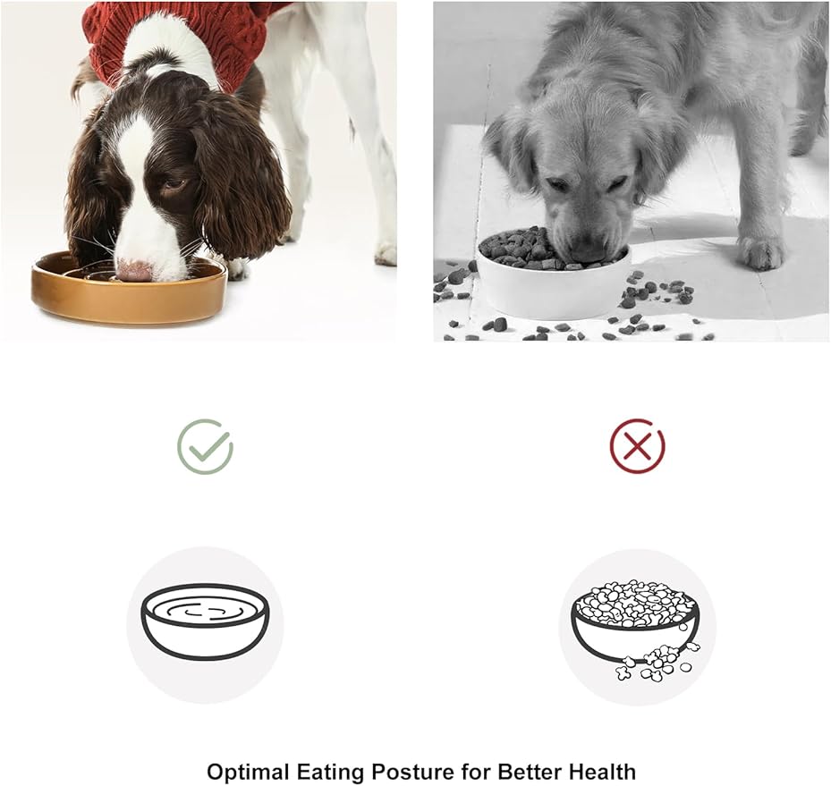 Ceramic Maze Dog Slow Feeder with Non-Slip Silicone Rim – Heavy-Duty Stoneware Bowl with Puzzle Pattern for Bloating & Obesity Prevention (Ice Blue-S)