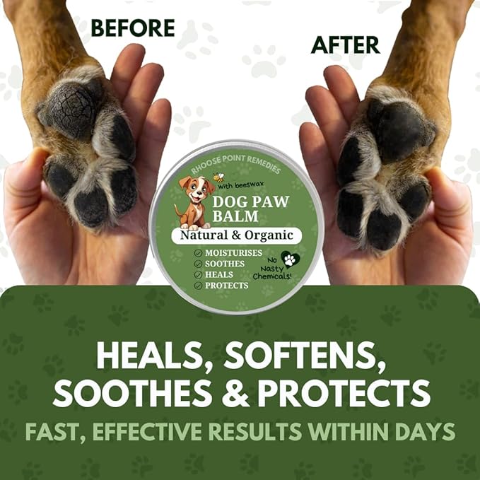 Lick Safe Dog Paw Balm - Softens, Heals, Soothes & Protects Dogs Paws, Noses & Skin. All Natural, Organic Ingredients. Lick-Safe Protection for Dogs with Beeswax (1 fl.oz - Starter Tin)