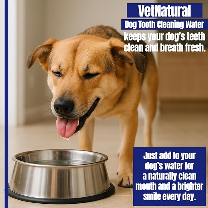 PawBright Dental Plus, Dog Dental Plus Water Natural, Odorless & Flavorless Formula to Fight Tartar Promote Healthy Gums, Easy Daily Use for All Pet 1pcs 8.45oz