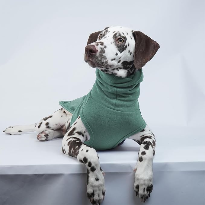 ROZKITCH Dog Anxiety Vest Calming Jacket with Hoodie Ears Cover Ear Wrap for Noise Reduction for Fireworks Travel Vet Visit Separation Anxiety Relief, Calming Shirt Wrap Green M