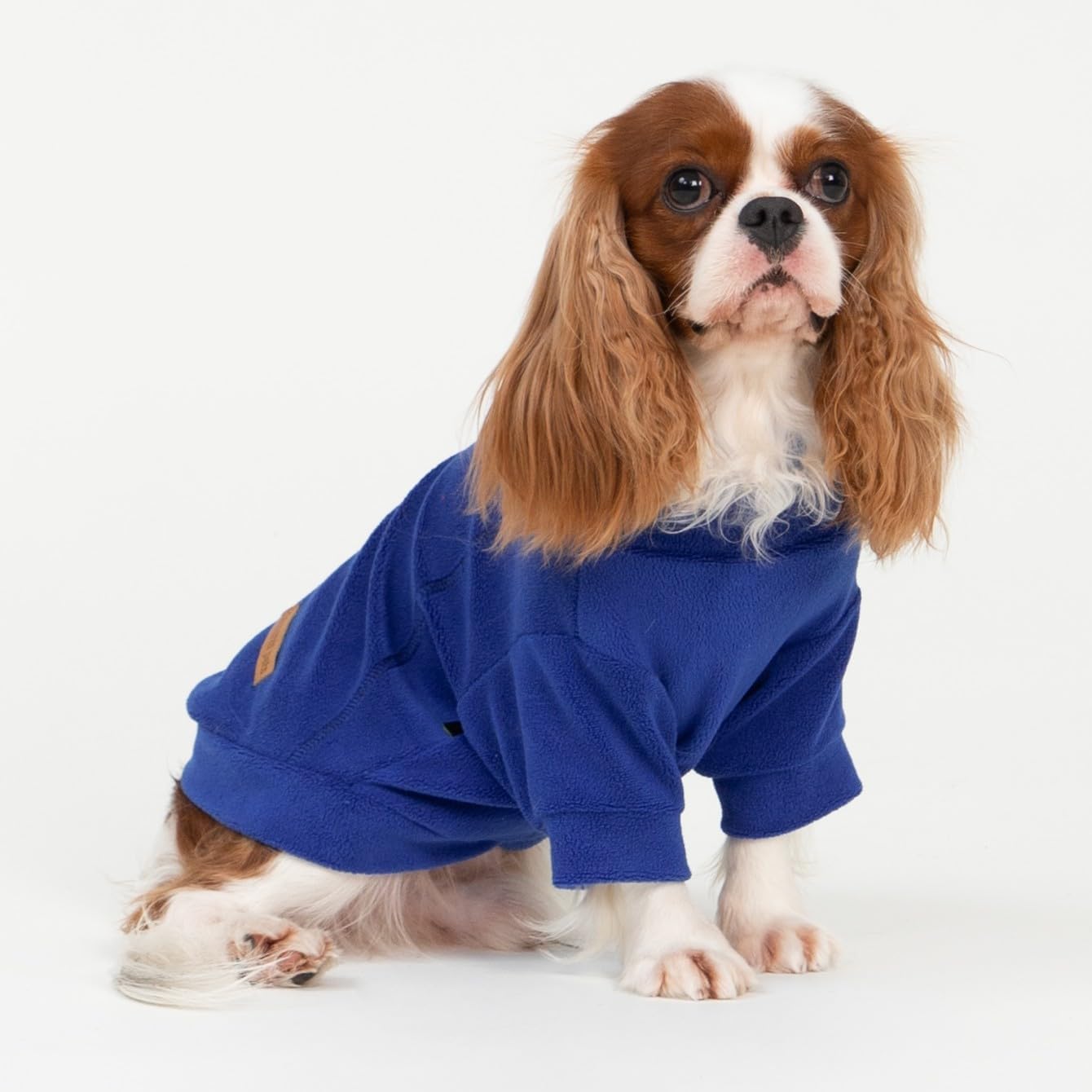 Fitwarm 3 Pack Classic Fleece Dog Sweater, Winter Clothes for Small Dogs Boy Girl, Turtleneck Dog Sweatshirt, Pet Apparel, Orange Red, Royal Blue, Neon Yellow, XS