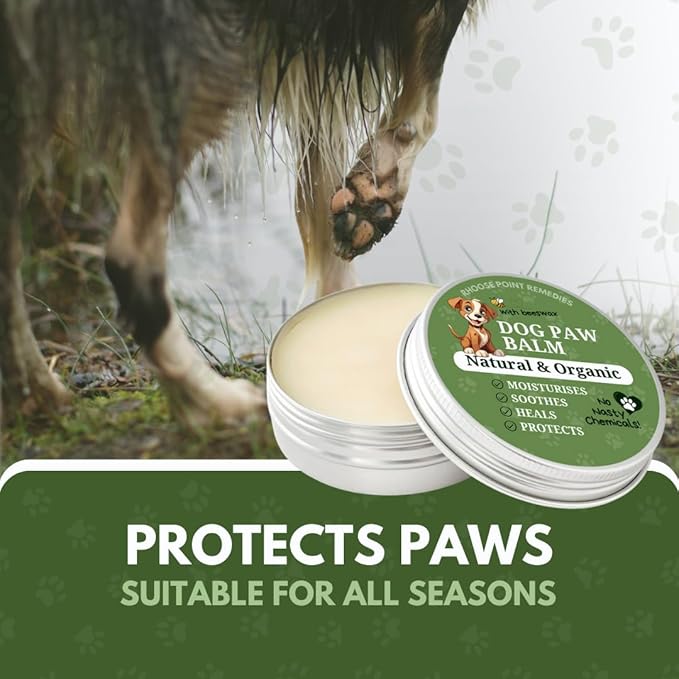 Lick Safe Dog Paw Balm - Softens, Heals, Soothes & Protects Dogs Paws, Noses & Skin. All Natural, Organic Ingredients. Lick-Safe Protection for Dogs with Beeswax (1 fl.oz - Starter Tin)