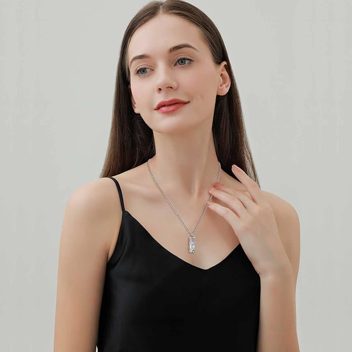EUDORA Sterling Silver Urn Necklace for Ashes for Women Men, Ash Pendant for Human Cat Dog Ashes, Necklace for Ashes of Loved One Dad Mom Papa Pet Cremation Souvenir Jewelry for Funeral, 20inch