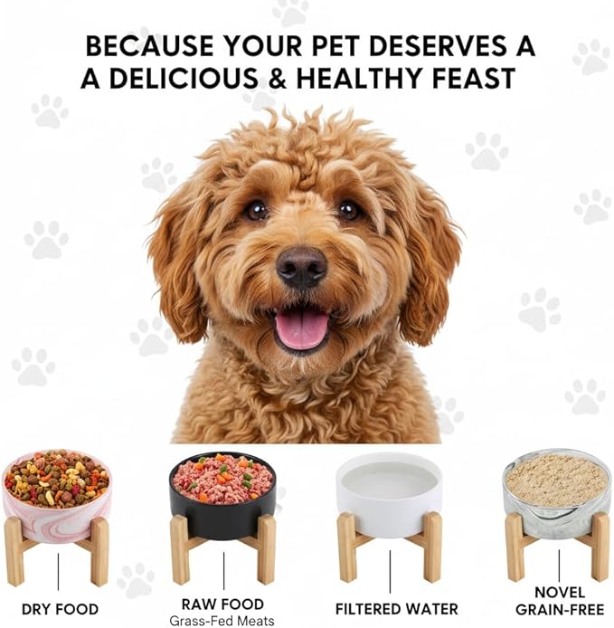Elevated/Raised Ceramic Dog Bowl with Bamboo Stand,Marble Pattern 6 Inch 3.6 Cups Non Slip Heavy Weighted Single Pet Dish, for Small Medium Breed & Cats,Reduces Neck Strain Marble Grey