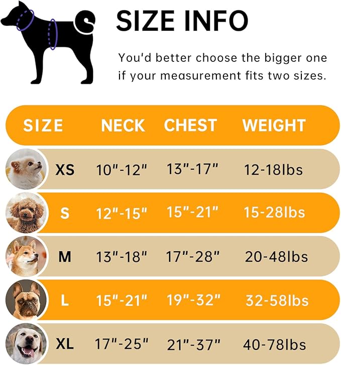 IVY&LANE No Pull Dog Harness for Medium Dogs, Dog Vest Harness with Leash, Safety Belt and Storage Strap, Fully Adjustable Harness, 360° Reflective Strip, Soft Handle (Orange, M)