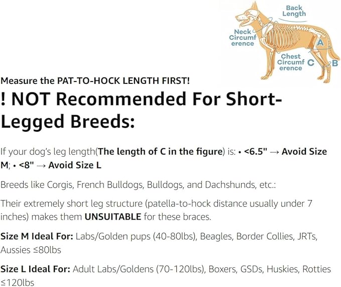 Dog Knee Brace with Adjustable Support – ACL & CCL Tear Recovery, Post-Surgery Stabilization, Mobility Aid for Rear Legs – Includes Secure Chest Harness for Dogs(Right,L)