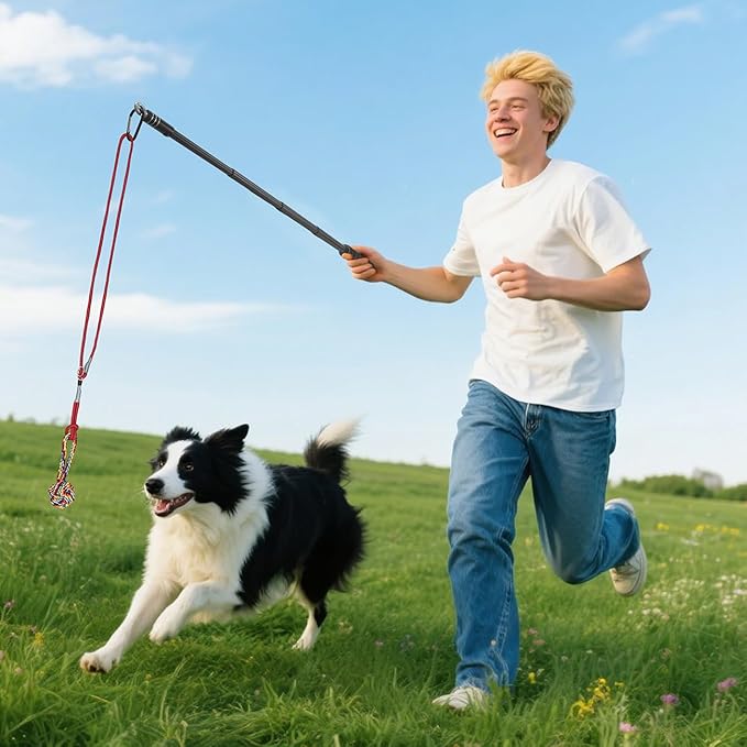 Flirt Pole for Dogs with Rope Toys, Adjustable Lightweight Interactive Pet Training Pole for Small to Medium Dogs (Red)