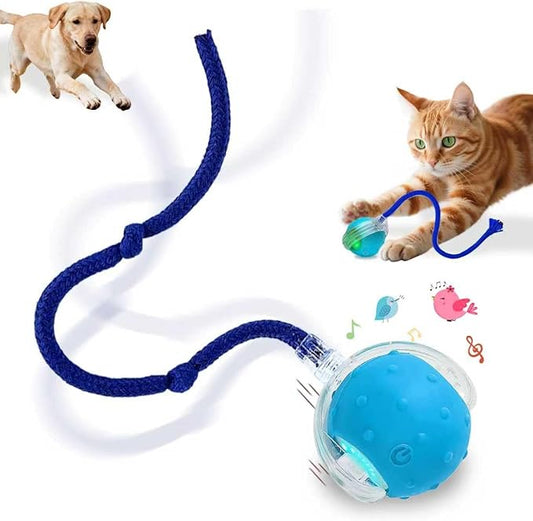 Interactive Cat Toys Smart Ball for Cats & Dogs! Now with 2 Rapid Tails. Features: 360°Auto-Rolling, Motion Activation& Bird Sounds. Perfect for Indoor Pet Exercise & Fun. (Blue)