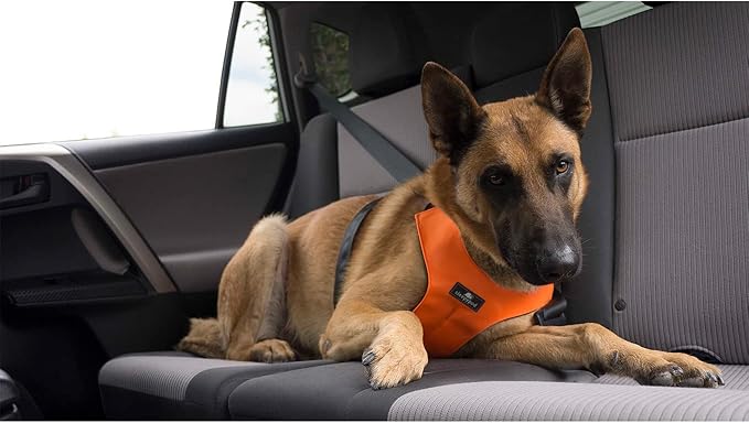 Clickit Sport Plus - Crash-Tested and Safety Certified Car Seat Belt Harness for Dogs (Large, Olive Green)