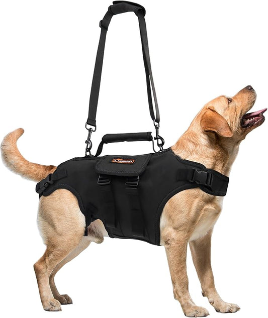 Dog Lift Harness, Full Body Support with Adjustable Control Handle for Large Senior Dogs, Post-Surgery Recovery & Joint Problems (Oxford Cloth, XL)