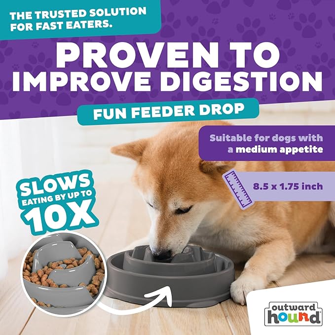 Outward Hound Fun Feeder Slo Bowl – Medium 2‑Cup Capacity, Slow Feeding, Small to Medium Dogs & Cats, Non-Slip, Gray, Drop Pattern (Pack of 12)