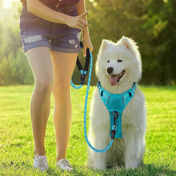 BARKBAY Dog Harness No Pull with ID Tag Pocket - Heavy Duty, Reflective, Easy Control for Large Dogs(Ocean Blue,M)