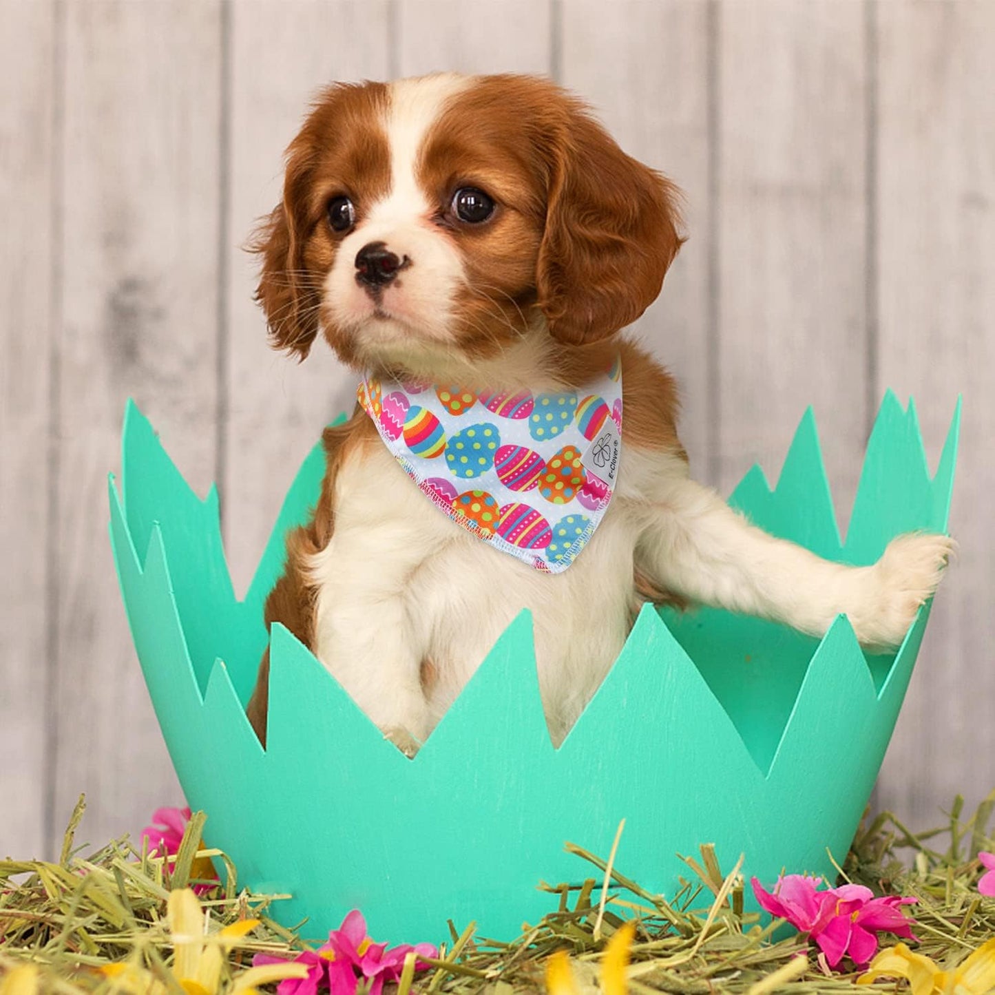 E-Clover Easter Dog Bandana & Matching Scrunchie Set Egg Dog Bandanas Scarf with Bunny Hair Tie for Small Puppy Dogs Pet Owner