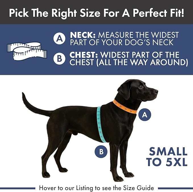Spark Paws Anxiety Relief Vest for Dogs – Gentle Compression Dog Anxiety Suit, Calming Wrap for Separation Anxiety, Thunder, Fireworks, Suitable for Small Medium and Large Breeds - Purple - Size 4XL