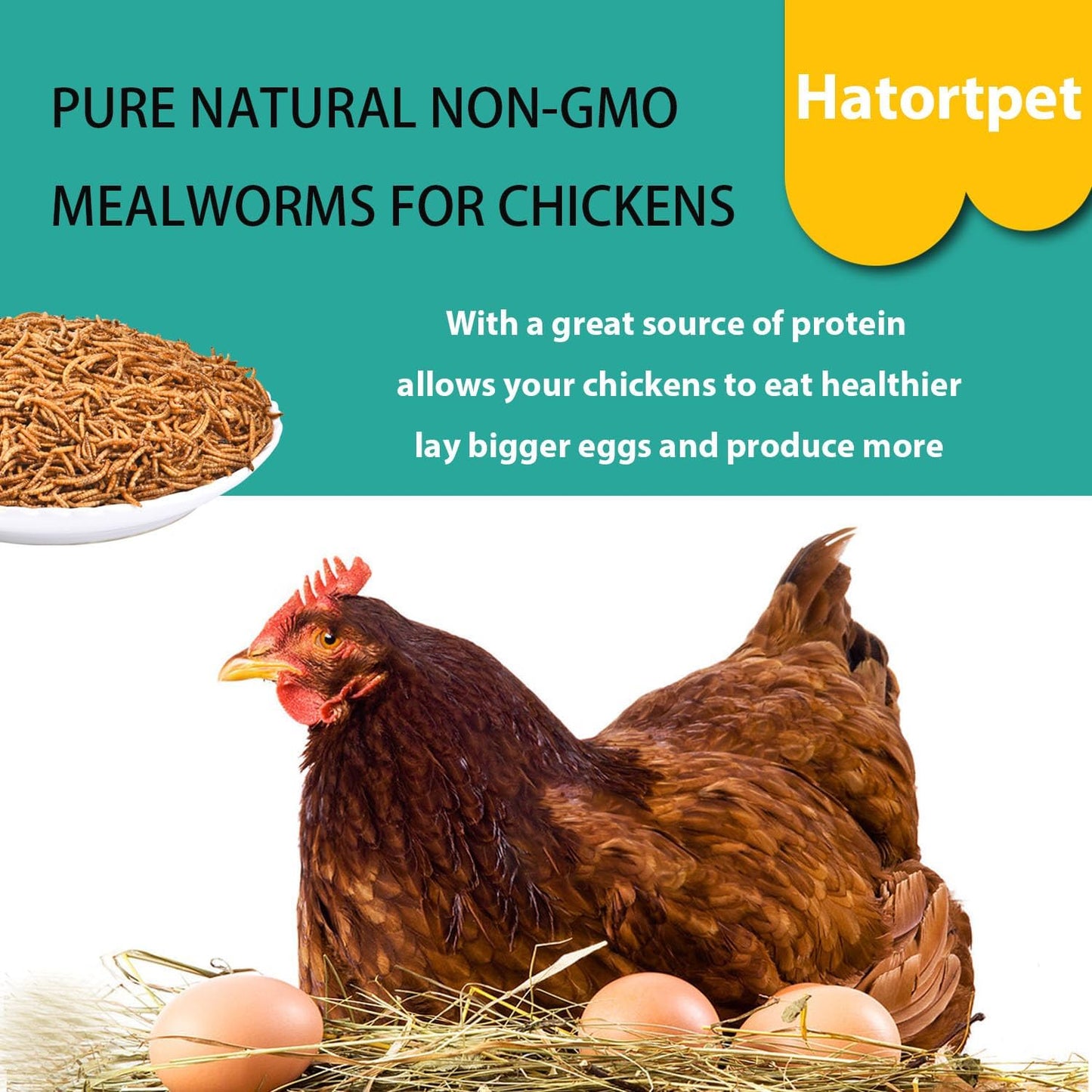 Dried Mealworms 5LB Pure Natural Non-GMO Mealworms for Chickens High Protein Chickens Feed Meal Worms for Laying Hens Wild Birds