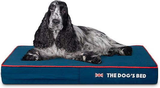 The Dog’s Bed Orthopedic Memory Foam Dog Bed Mattress, Oxford Fabric, Blue with Red Trim, Medium, 4-Inch