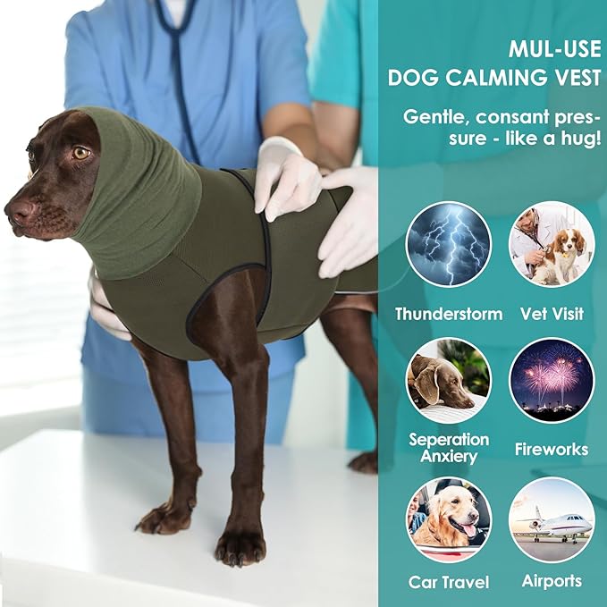 AOFITEE Dog Anxiety Calming Hoodie, Thunder Jacket for Dogs Anxiety, Breathable Calming Shirt for Fireworks, Thunder, Travel, Separation, Pet Hoodies for Noise Block & Ear Protection, XS