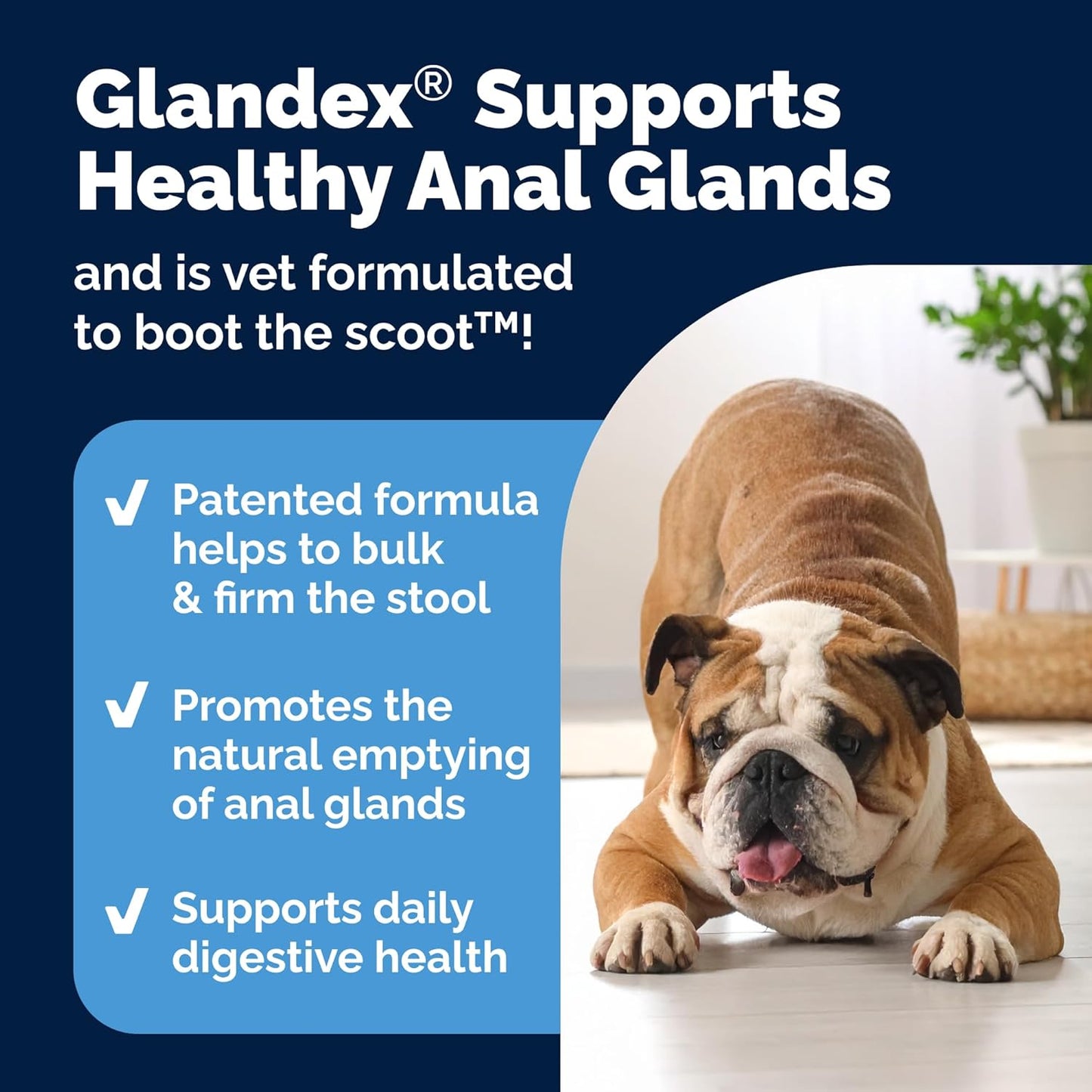 Vetnique Glandex Anal Gland Health Soft Chew Treats with Pumpkin for Dogs Digestive Enzymes, Probiotics Fiber Supplement for Dogs Boot The Scoot (Advanced Strength Duck/Bacon Chews (Veg), 30 Count)
