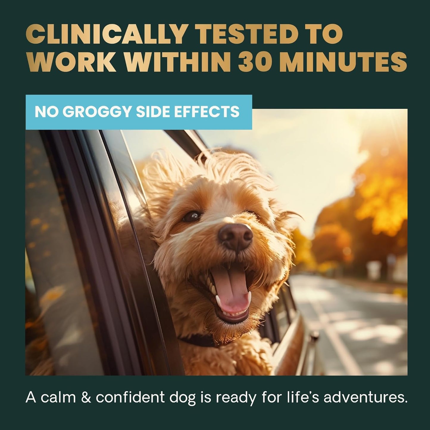 VETRISCIENCE Composure Calming Treats for Small Dogs and Puppies Anxiety, Separation Stress, Thunder and Barking - Yummy Chews Pets Love, 30 Chews