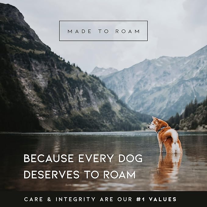 MADE TO ROAM Premium Explorer Harness - Y-Shaped Dog Harness with Adjustable Durable Nylon, Soft Padding, Metal Buckles and Leather Handle for Small, Medium, Large Dogs (Carolina Blooms, Size 3)