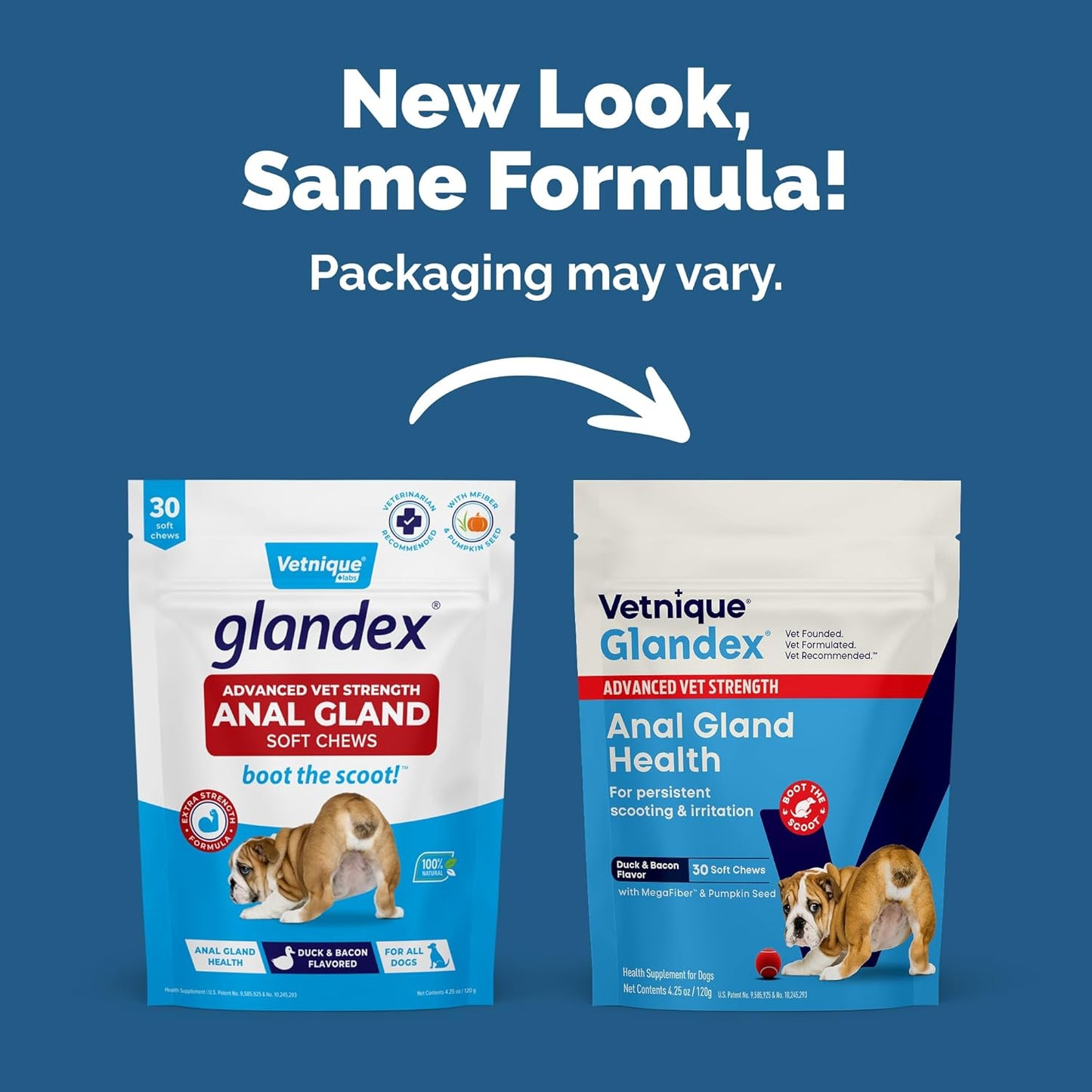 Vetnique Glandex Anal Gland Health Soft Chew Treats with Pumpkin for Dogs Digestive Enzymes, Probiotics Fiber Supplement for Dogs Boot The Scoot (Advanced Strength Duck/Bacon Chews (Veg), 30 Count)