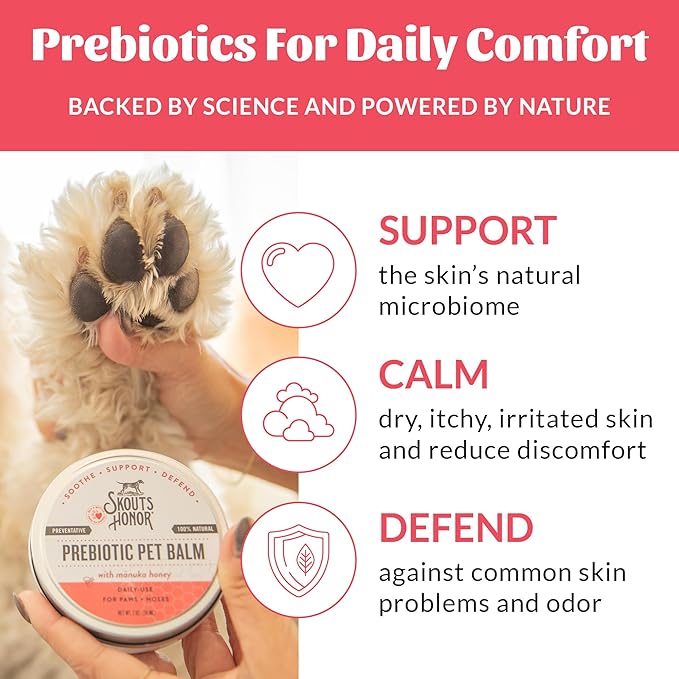 SKOUT'S HONOR Prebiotic Pet Balm - 100% Natural and Made w/Manuka Honey to Promote Healing of Your pet's paw Pads and Nose, Soothes Dry, Itchy Paws and Noses - Safe for Cats and Dogs, 0.7 oz, 3-Pack
