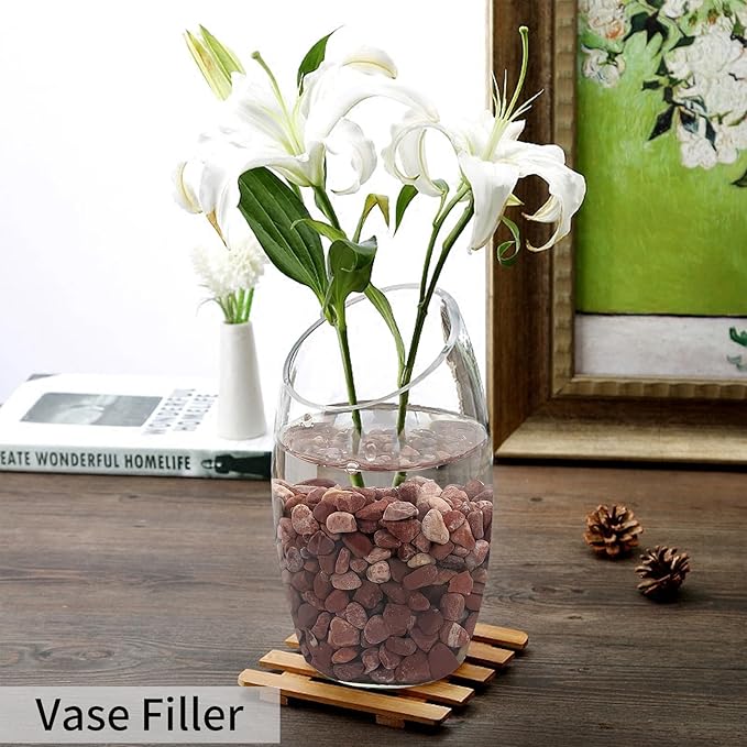 5 lbs Succulent and Cactus Pebbles for Indoor Plants, 3/8 Inch Pea Gravel Decorative Red River Rocks for Plants, Vases, Terrarium, Aquarium, Potted Top Dressing and Outdoor Landscaping Stones