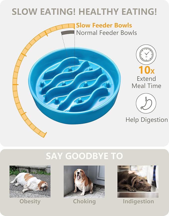 Ceramic Slow Feeder Dog Bowls Elevated, 2.0 Cups Dog Slow Feeder for Medium and Large Dogs, 30oz, 8in, Baby Blue