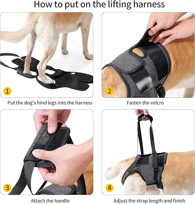 HEYWEAN Dog Sling for Large Dogs Hind Leg Support Harness Ideal for Elderly Injured Arthritic Dogs Provides Rehabilitation Aid for Weak Back Legs Comfortable and Durable Design