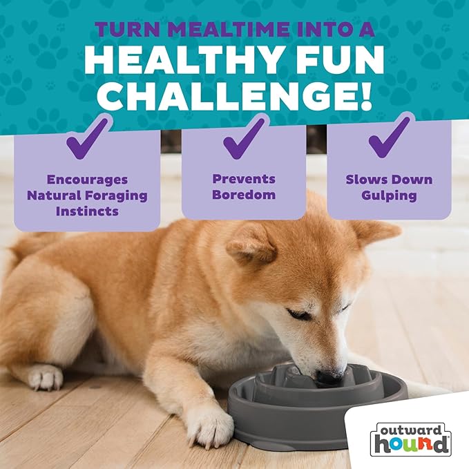 Outward Hound Fun Feeder Slo Bowl – Medium 2‑Cup Capacity, Slow Feeding, Small to Medium Dogs & Cats, Non-Slip, Gray, Drop Pattern (Pack of 12)