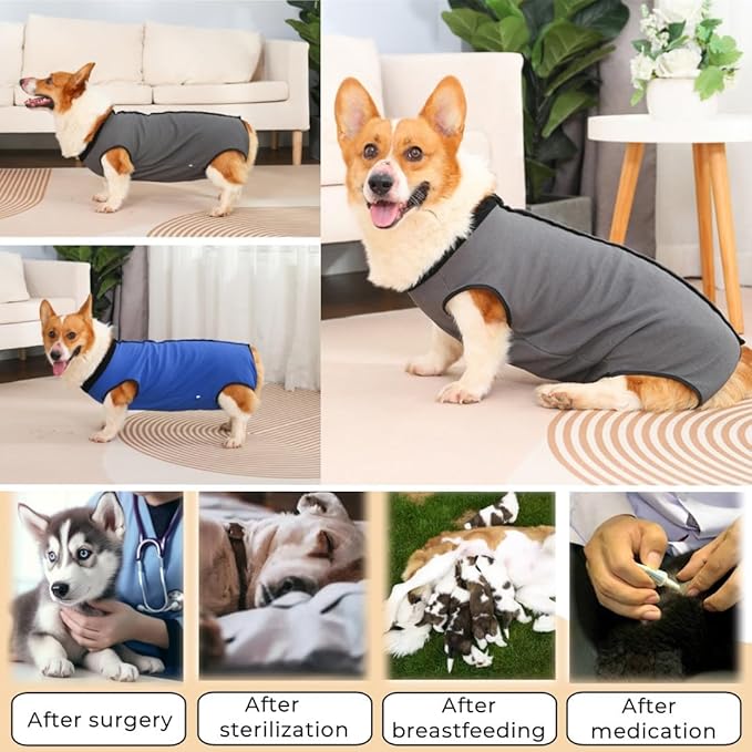 Dog Surgery Recovery Suit,Abdominal Surgical Suit for Dogs,Recovery Suit for Dogs,Prevent Licking Surgical Wound Dog Cone Alternative Grey XL