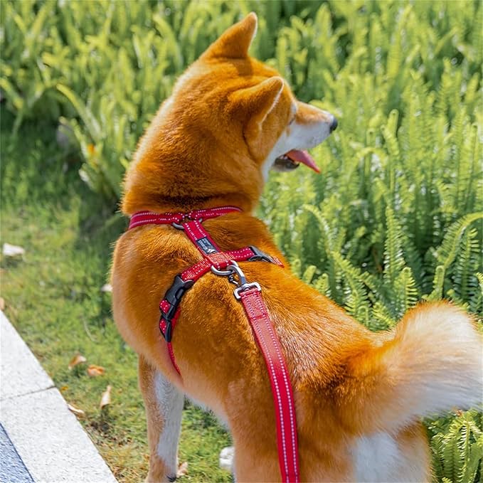 EXCELLENT ELITE SPANKER No Pull Dog Harness Reflective Nylon Vest L-Shaped Adjustable Easy Pet Harness for Small Medium Large Breeds Dogs Walking Training Black Red(Black-XL)