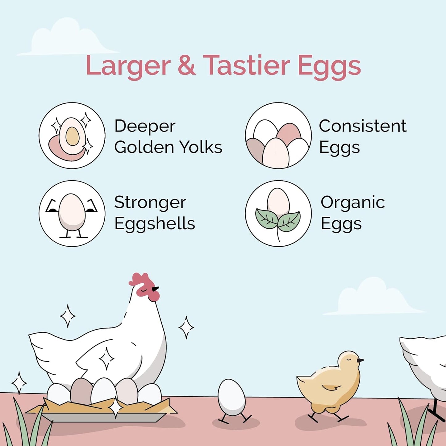 Organic Chicken Feed – Layer Whole Grain, Non-GMO, USA Grown, 16% Protein, Corn-Free, Soy-Free, Non-Medicated Feed for Chickens, 2 lb Sample