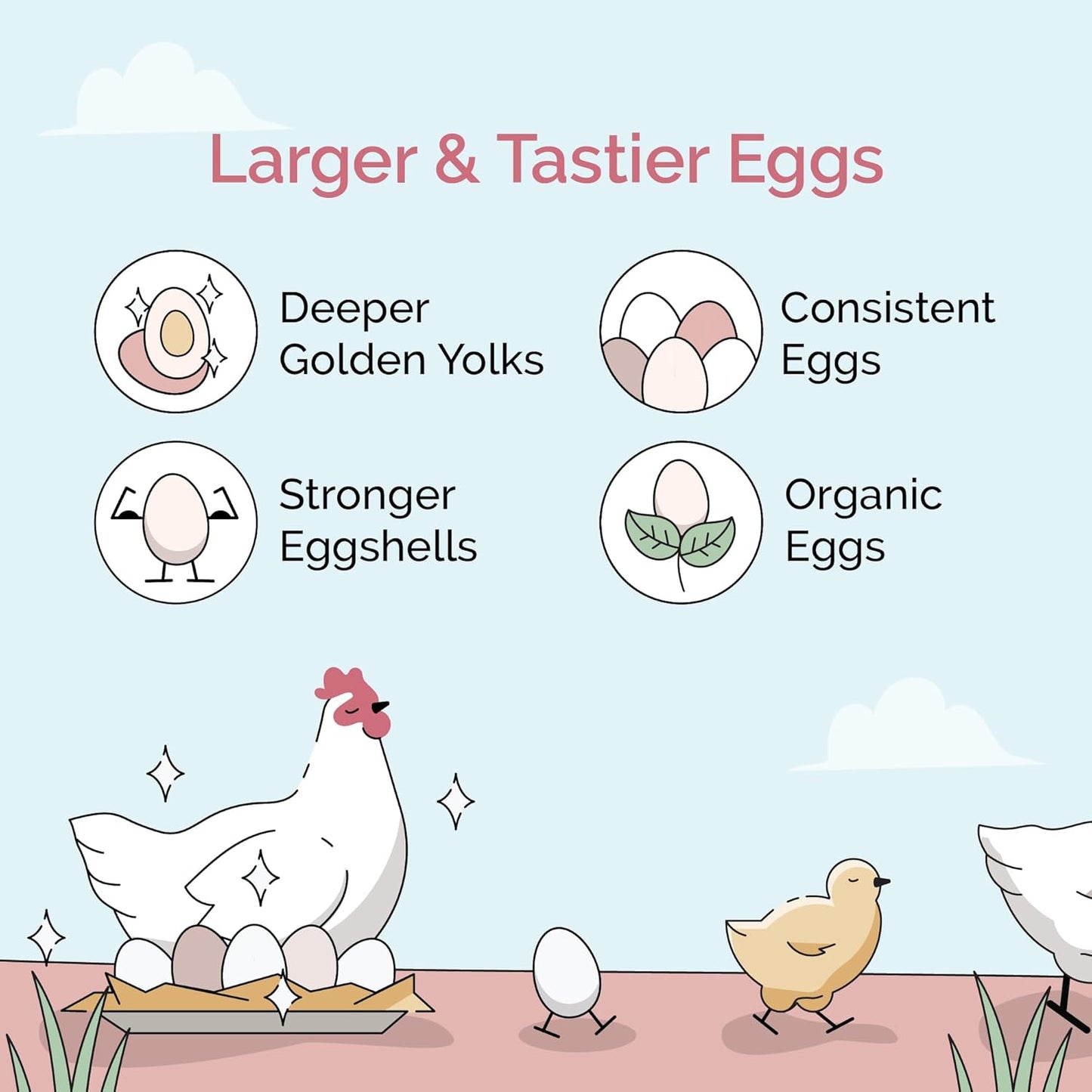 Organic Chicken Feed – Layer Pellet, Non-GMO, USA Grown, 16% Protein, Corn-Free, Soy-Free, Non-Medicated Feed for Chickens, 46 lbs