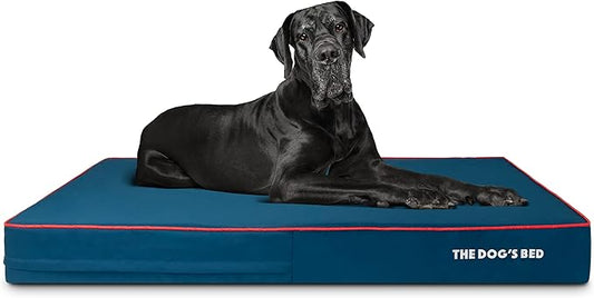 The Dog’s Bed Orthopedic Memory Foam Dog Bed Mattress, Oxford Fabric, Blue with Red Trim, XXL, 6-Inch
