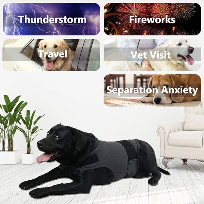 Dog Anxiety Jacket, Skin-Friendly Calming Shirt for Dogs - Dog Vest for Thunder, Fireworks and Separation - Keep Pet Calm Without Medicine & Training, Anti Anxiety Coat for Dogs (Dark Grey, XL)