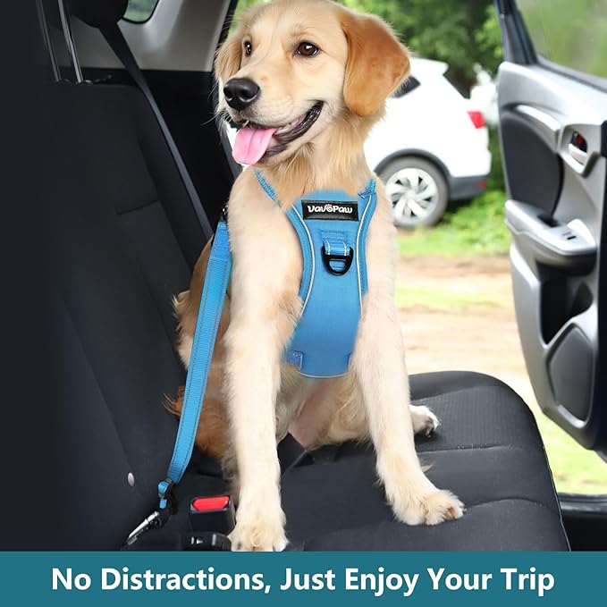Dog Seat Belt Harness for Car, Dog Car Harness Adjustable Mesh Breathable & Dogs Seatbelt Safety Tether with Elastic Bungee for Small Medium Large Pets(Blue, S)