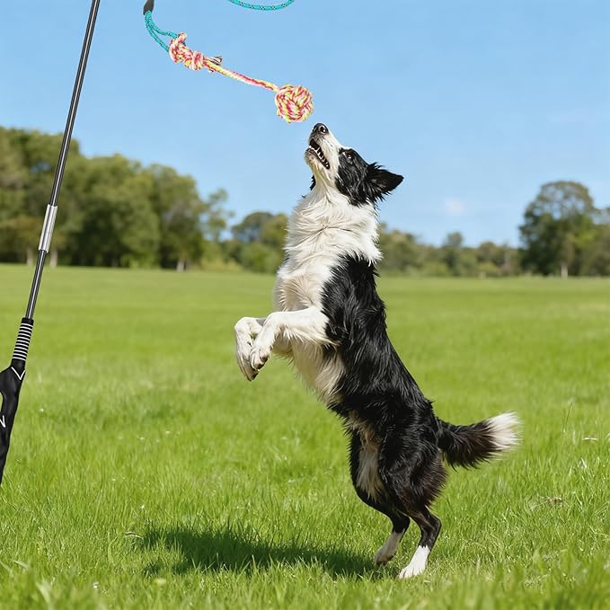 Flirt Pole for Dogs with 4 Rope Chew Toys, Dog Flirt Pole with Carry Bag for Outdoor Training and Exercise, Detachable Teaser Wand for Small, Medium Dogs