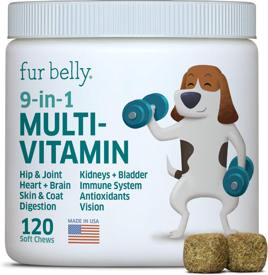 Dog Multivitamin - Dog Vitamins and Supplements - Digestive Enzymes & Probiotics - Probiotics for Dogs - for Skin and Coat Allergies - Immune System & Overall Health - 120 Soft Chew Dog Treats