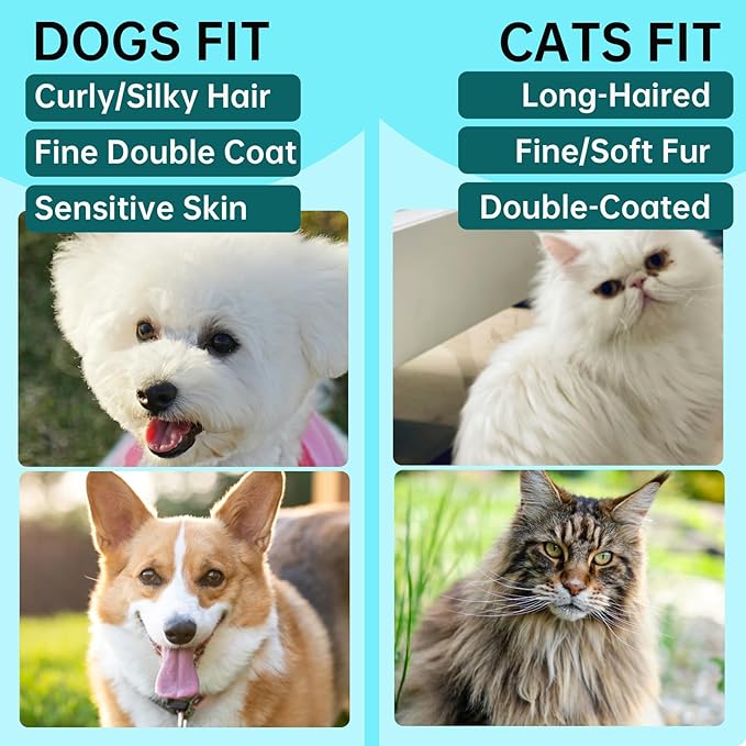 Self-Cleaning Slicker Brush for Dogs & Cats, 3-in-1 Grooming Kit with Detangling Comb & Storage Box, Deshedding Tool for Long Short Hair Pets, Soft Cat Brush Prevents Matting & Tangles, White