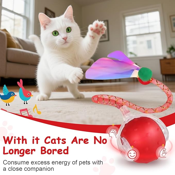 Interactive Cat Toys Smart Ball for Cats & Dogs! Now with 2 Rapid Tails. Features: 360°Auto-Rolling, Motion Activation& Bird Sounds. Perfect for Indoor Pet Exercise & Fun. (Red＆Blue)