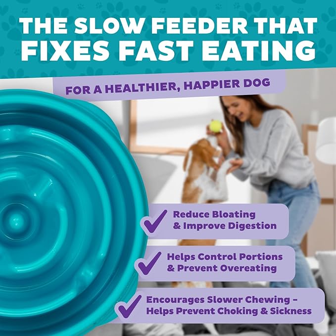 Outward Hound Fun Feeder Slo Bowl – Medium 2‑Cup Capacity, Slow Feeding, Small to Medium Dogs & Cats, Non-Slip, Turquoise, Drop Pattern (Pack of 12)