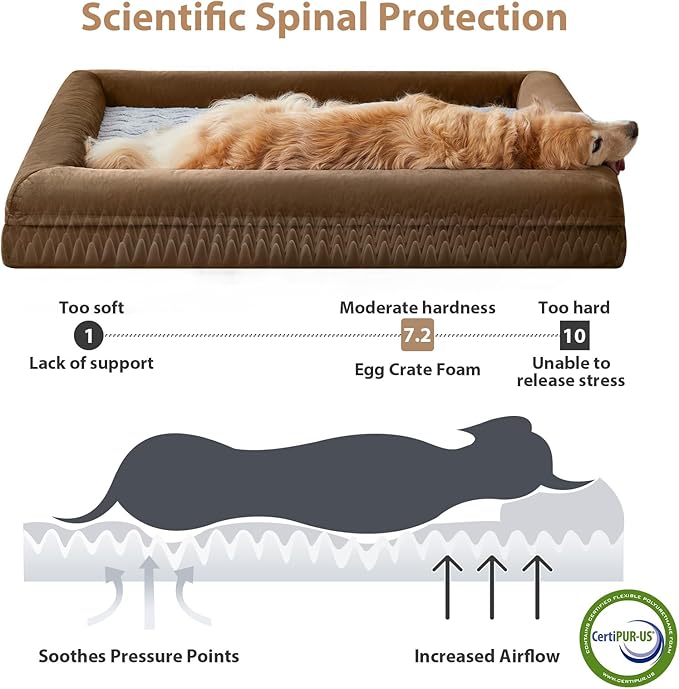 WNPETHOME Giant Dog Bed, Washable Dog Couch with Removable Waterproof Cover, Orthopedic Large Pet Sofa Bed with Bolster Sides for Sleeping